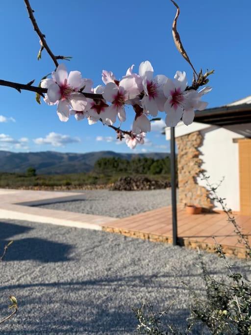 La Llobatera Casa Rural Les Coves de Vinroma Exteriör bild